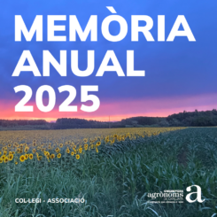 memoria 2025