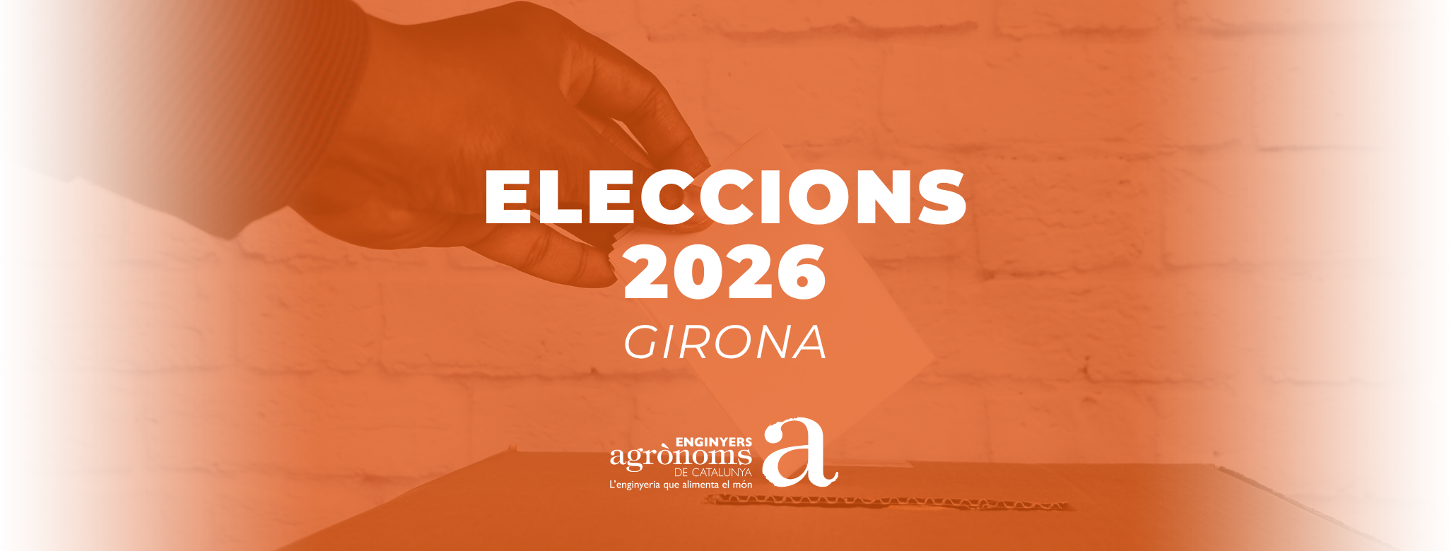 Reunió eleccions COEAC 2026 – Demarcació de Girona–