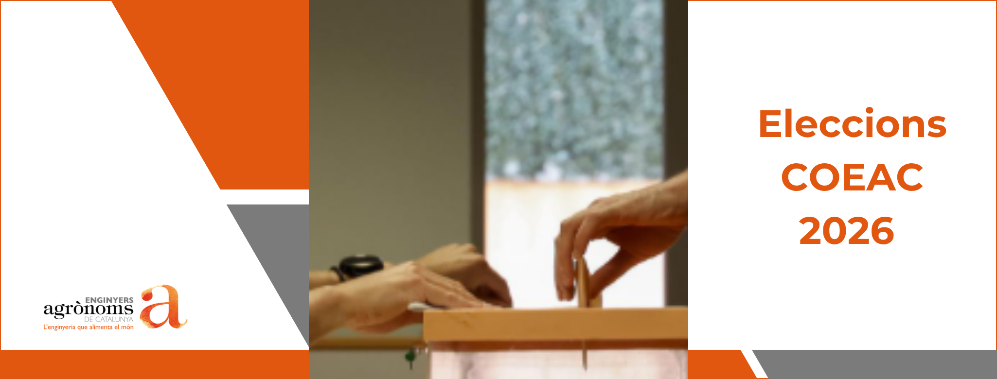 Eleccions COEAC 2026